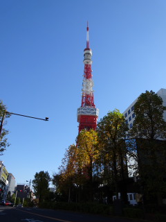 快晴の東京タワー