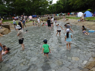 平塚総合公園の水辺