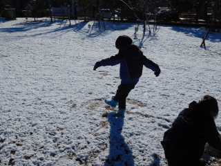 雪で遊ぶテラ太